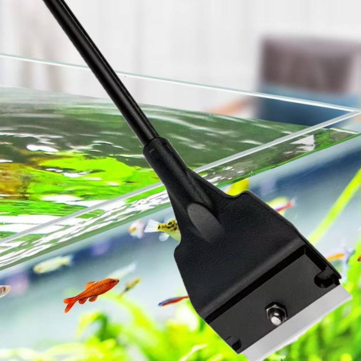 Glazen aquariumalgenkrabber, p - Planted Aquarium With Sand recensie en prijs