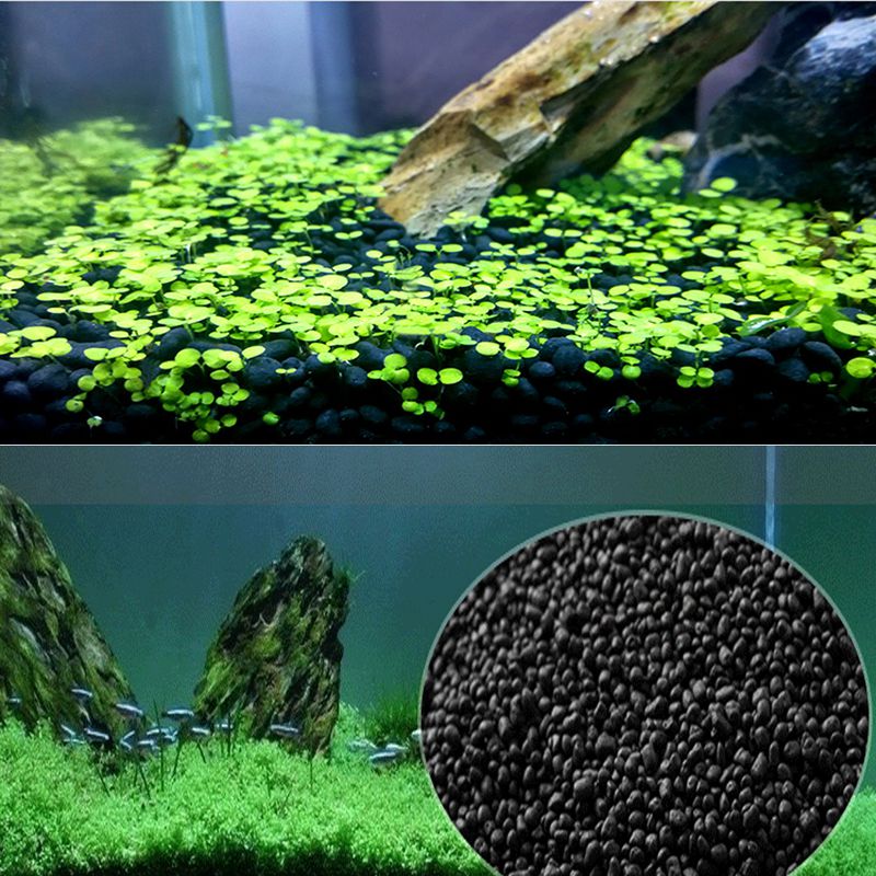 Vis Zand Auarium Substraat 100 - Planted Aquarium With Sand recensie en prijs