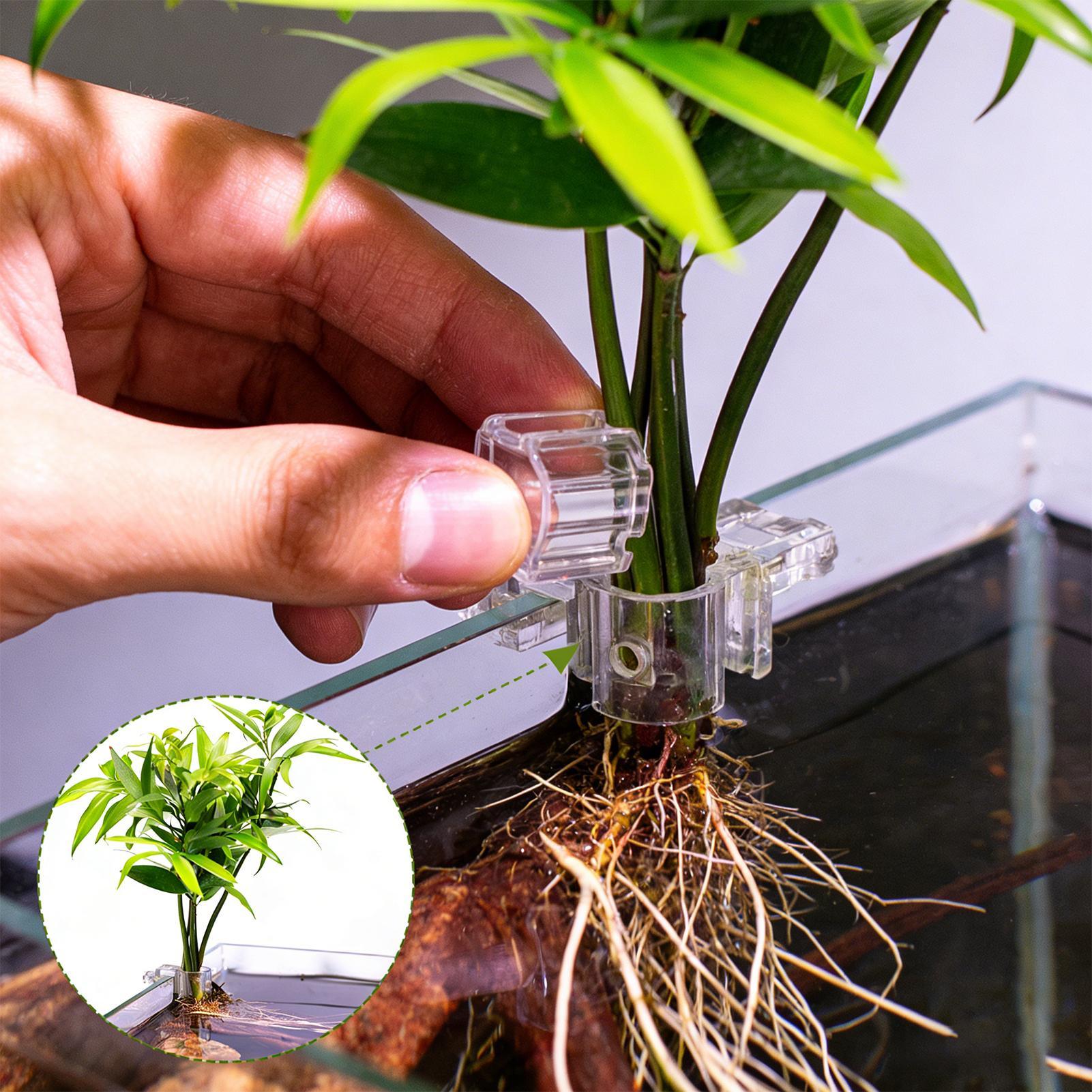 Visbak Plantenhouder 6 Stuks T - Aquarium Planted Soil recensie en prijs