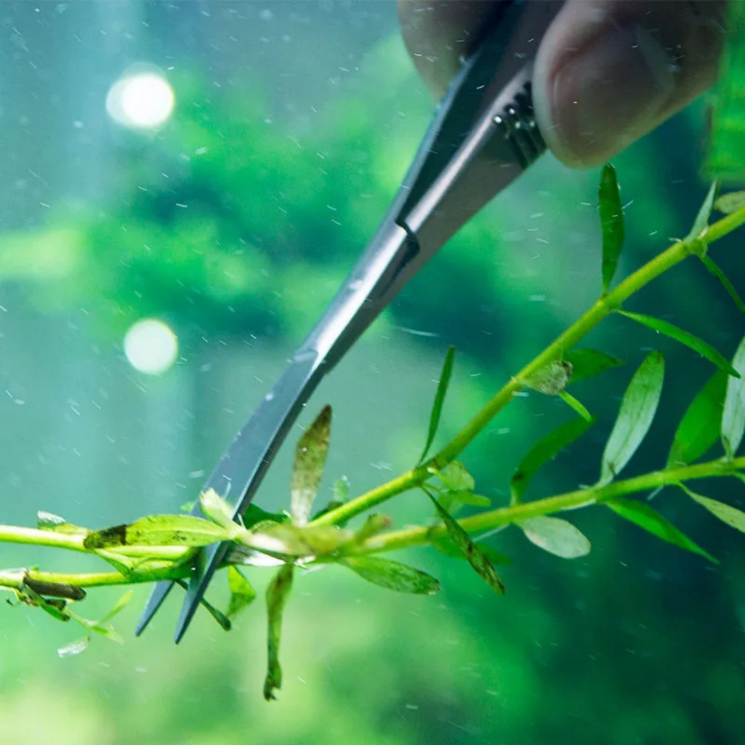 Gebogen rechte veerschaar Aqua - Planted Aquarium Maintenance Kit recensie en prijs