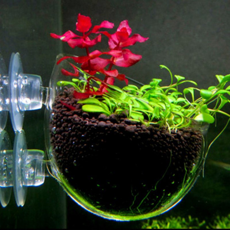 Aquarium Opknoping Plant Pot G - Planted Aquarium Moss recensie en prijs