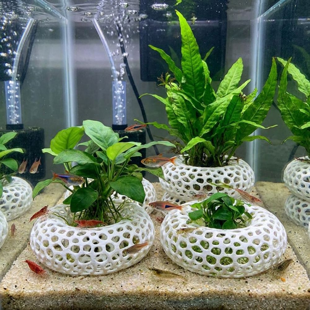3D-geprinte vis- en garnalensc - Planted Aquarium Moss recensie en prijs