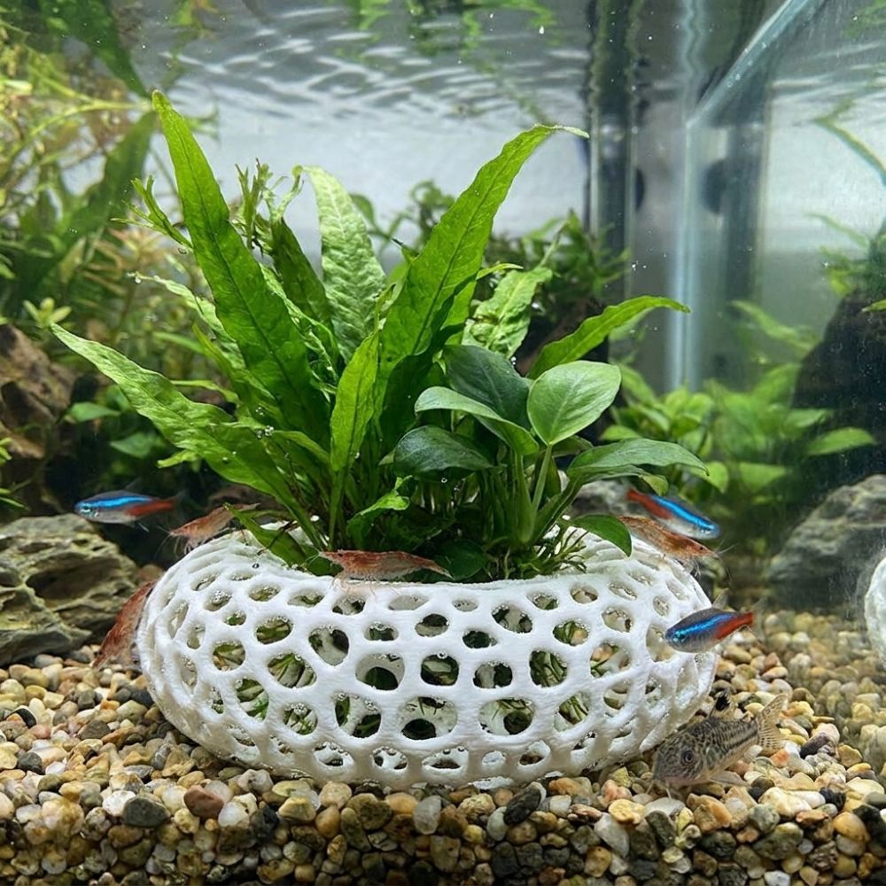 3D-geprinte vis- en garnalensc - Planted Aquarium Moss recensie en prijs